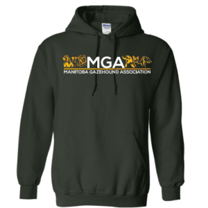 G185 Gildan Heavy Blend 8 oz., 50/50 Hooded Sweatshirt - Forest Green